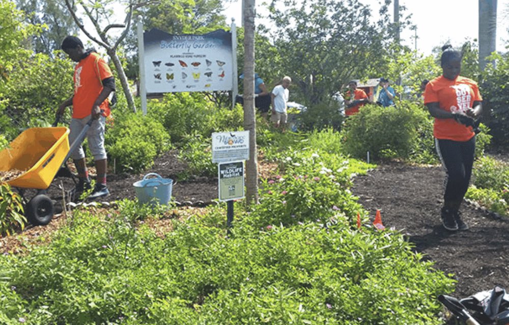 community habitat